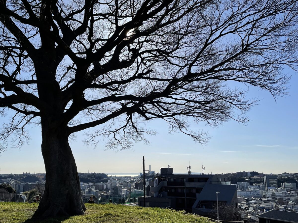 オンライン企業研修のサポート